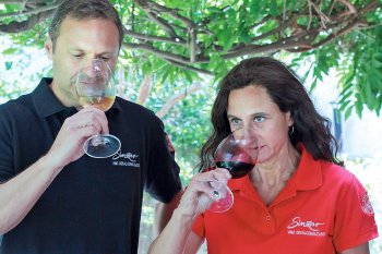 Sinzero, la primera compañía chilena que vende vino sin alcohol en Amazon