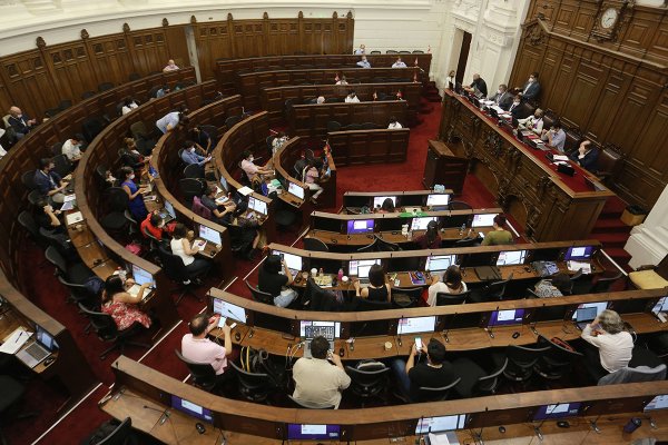 Cámara por tómbola y ministros electos popularmente: Propuestas para la nueva Constitución