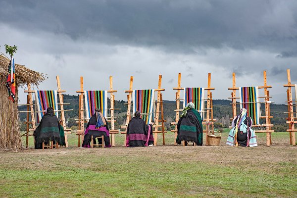 Guía de ocio: El telar mapuche que romperá el récord mundial