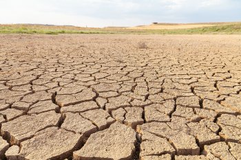 Desaladoras, aguas grises y riego tecnificado: las soluciones para enfrentar la sequía extrema