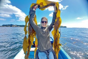 Huiro, el emprendimiento de algas que regenera el mar