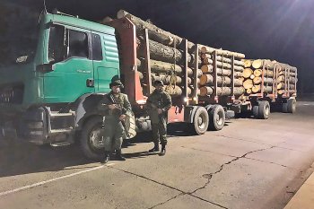45 empresas forestales demandan al Estado por 78 ataques en la macrozona sur