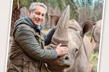 El rearme de Buin Zoo: nuevo CEO y un parque botánico