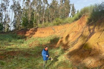 Dueña de proyecto de Tierras Raras en Penco pierde la mitad de su valor por traspié ambiental