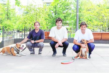 Una startup de servicios para mascotas: la nueva apuesta del ex diputado Torrealba