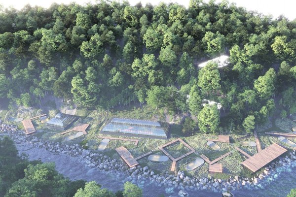 Abre en Pucón el primer jardín botánico con aguas termales del país