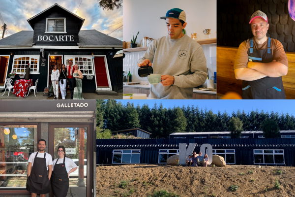 Villarrica hot: nuevos emprendimientos se toman la orilla del lago